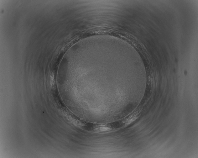 X0000078290610200611031233