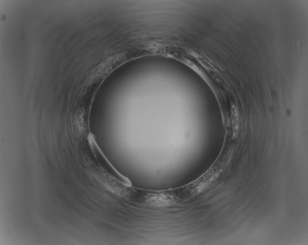 X0000078290611200611031233