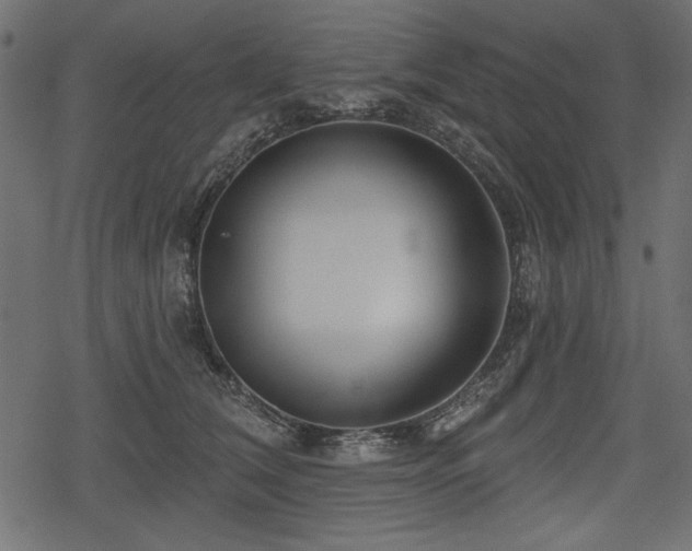 X0000078290612200611031233