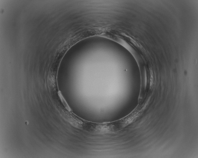 X0000078290613200611031233