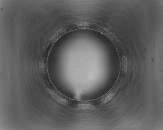 X0000078290614200611031233