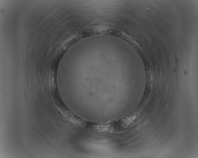 X0000078290615200611031233