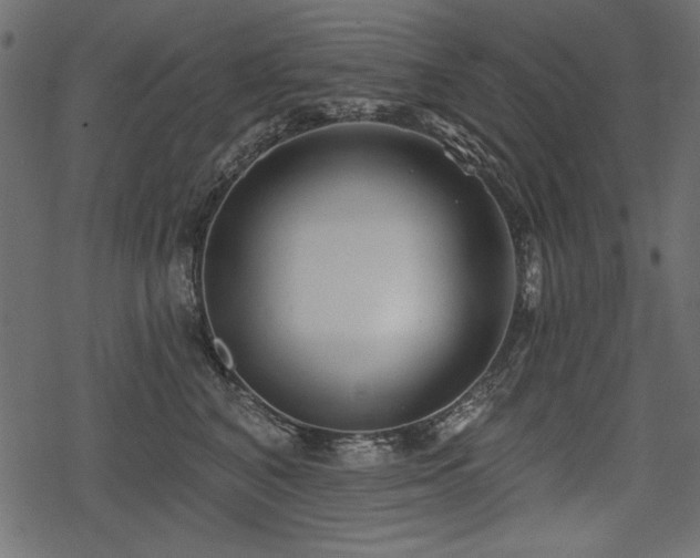 X0000078290616200611031233