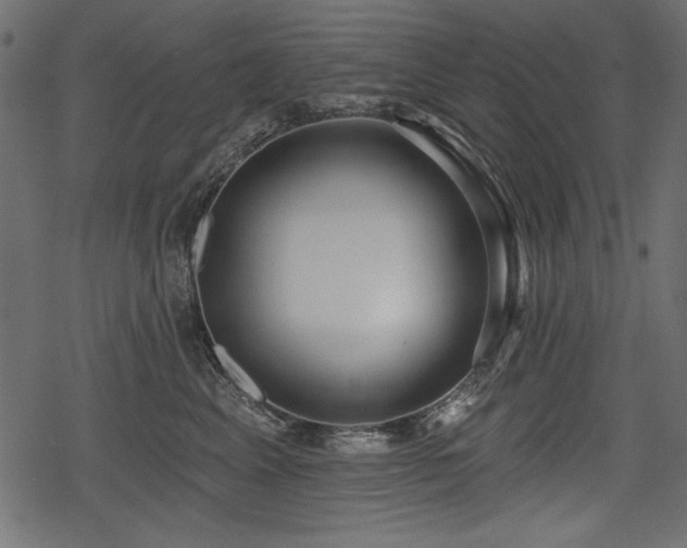 X0000078290617200611031233