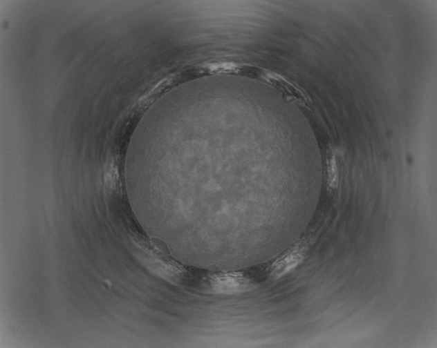 X0000078290618200611031233