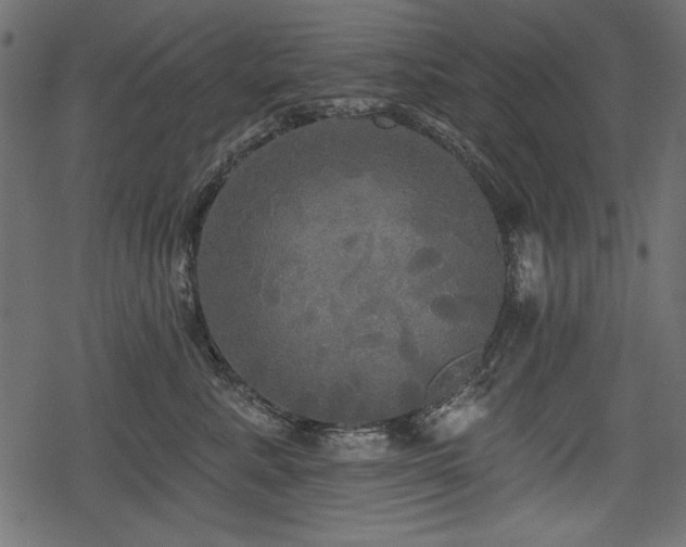 X0000078290619200611031233