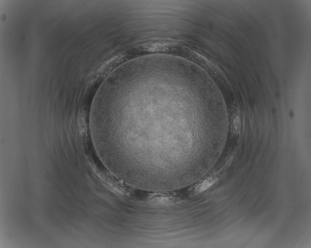 X0000078290620200611031233