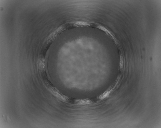 X0000078290621200611031233