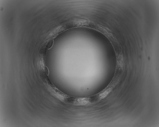 X0000078290622200611031233