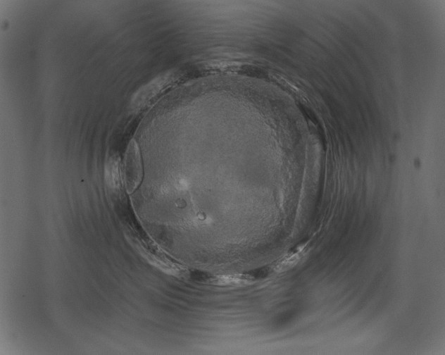 X0000078290623200611031233