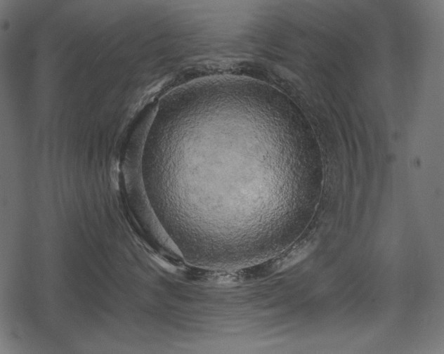 X0000078290624200611031233