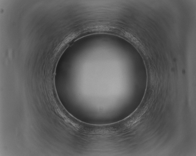 X0000078290625200611031232