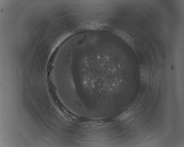 X0000078290626200611031232