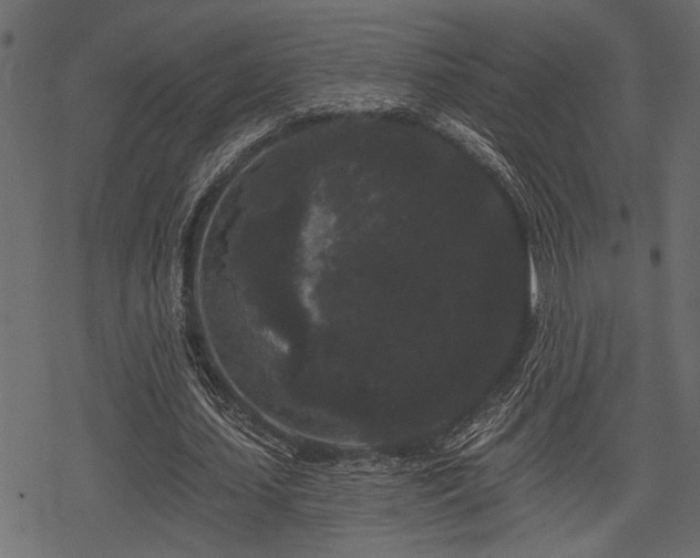 X0000078290627200611031232