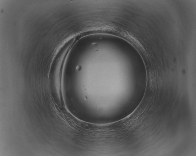 X0000078290628200611031232