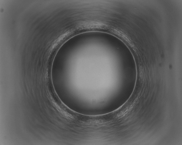 X0000078290629200611031232