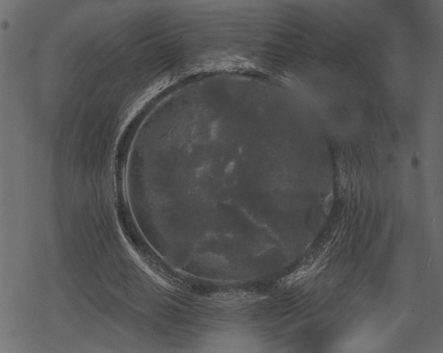 X0000078290630200611031232