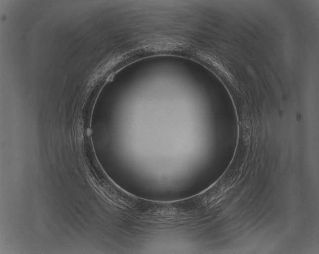 X0000078290631200611031232