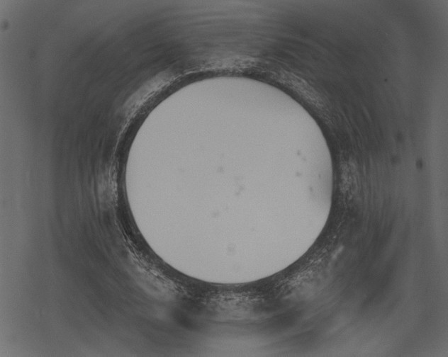 X0000078290632200611031232