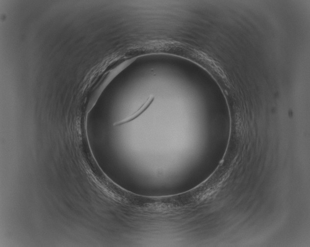 X0000078290633200611031232