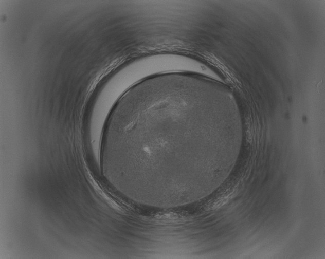 X0000078290634200611031232