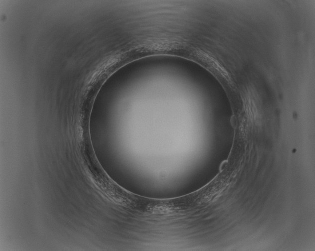 X0000078290635200611031232