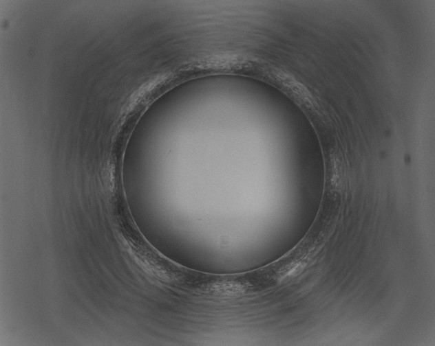 X0000078290636200611031232