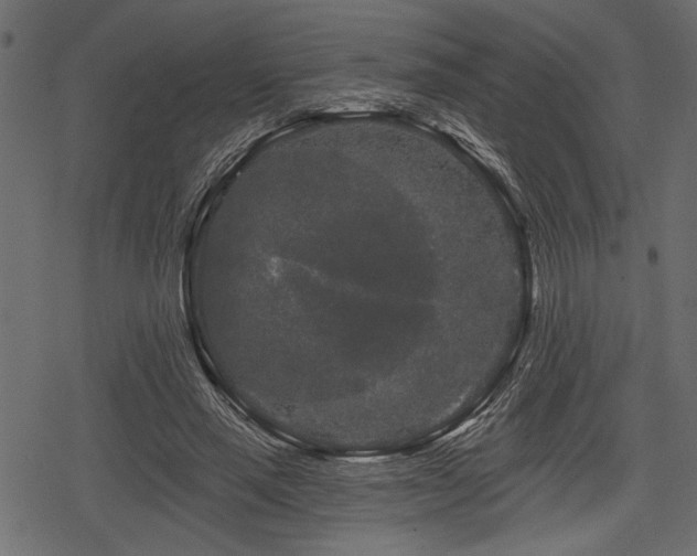 X0000078290637200611031232