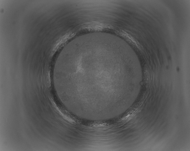 X0000078290638200611031232