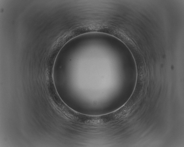 X0000078290639200611031232