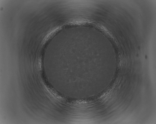 X0000078290640200611031232