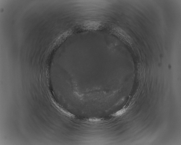 X0000078290641200611031232