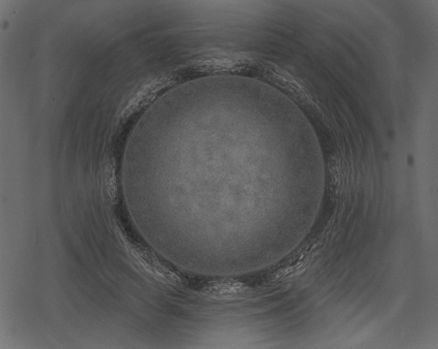 X0000078290642200611031232