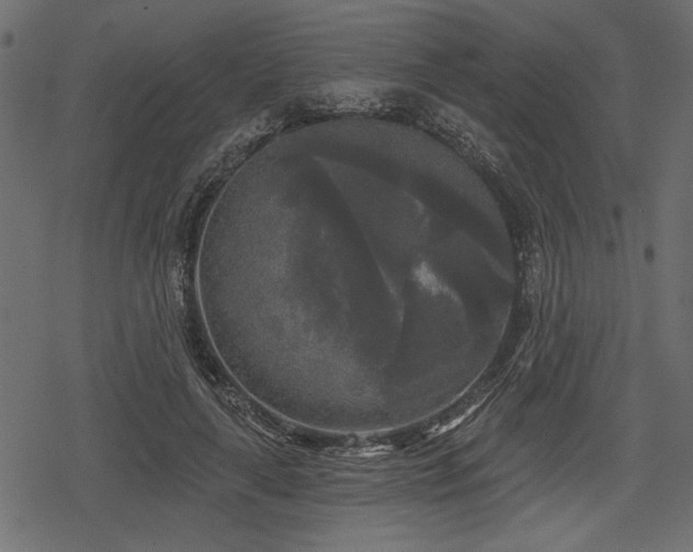 X0000078290643200611031232