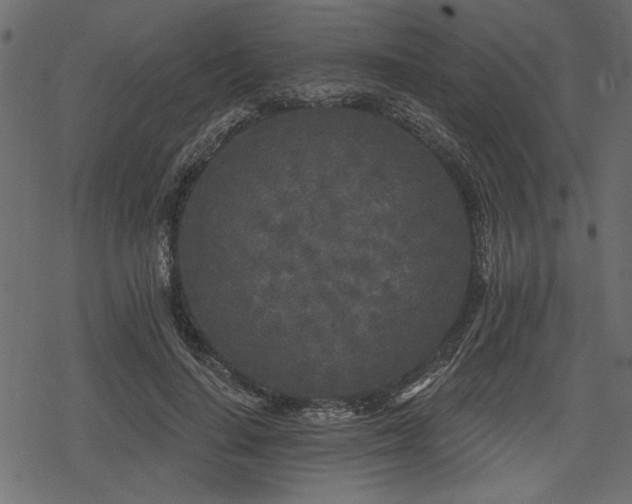 X0000078290644200611031232