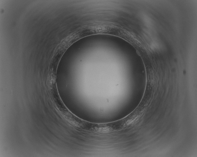 X0000078290645200611031233