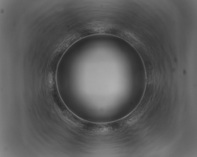 X0000078290646200611031233