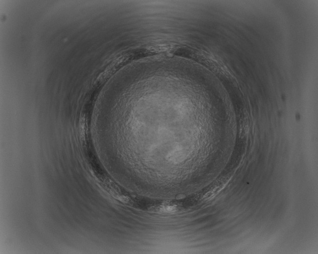 X0000078290647200611031233