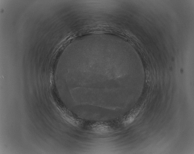 X0000078290648200611031233