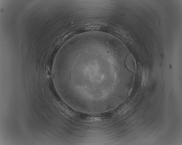 X0000078290649200611031233