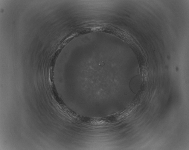 X0000078290650200611031233