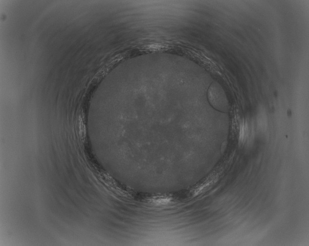 X0000078290651200611031233