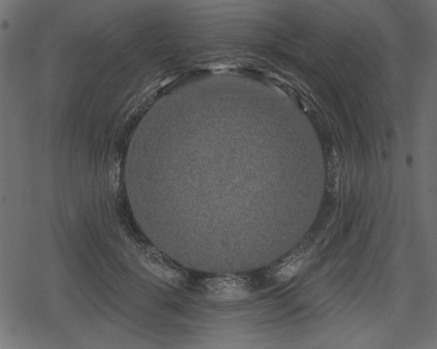 X0000078290652200611031233