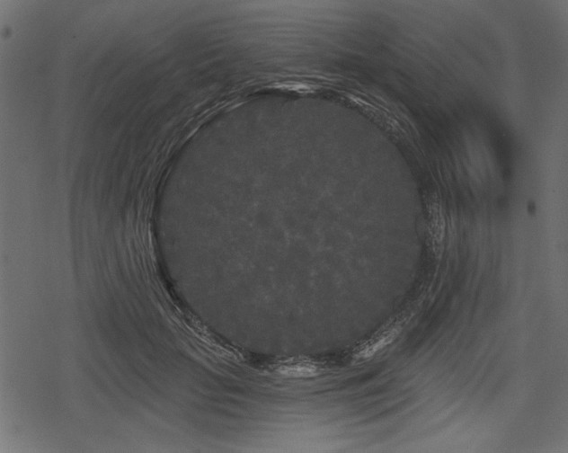 X0000078290653200611031233