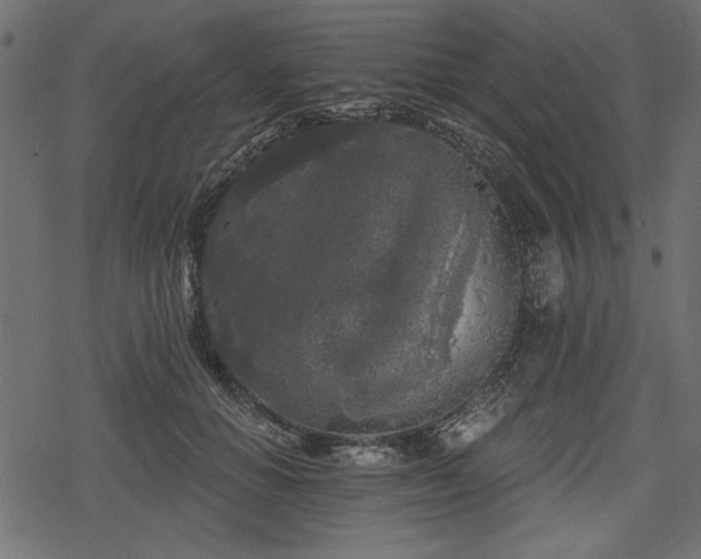 X0000078290654200611031233