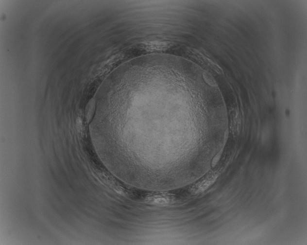 X0000078290655200611031233