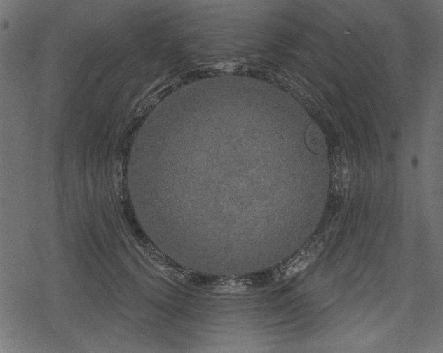 X0000078290656200611031233