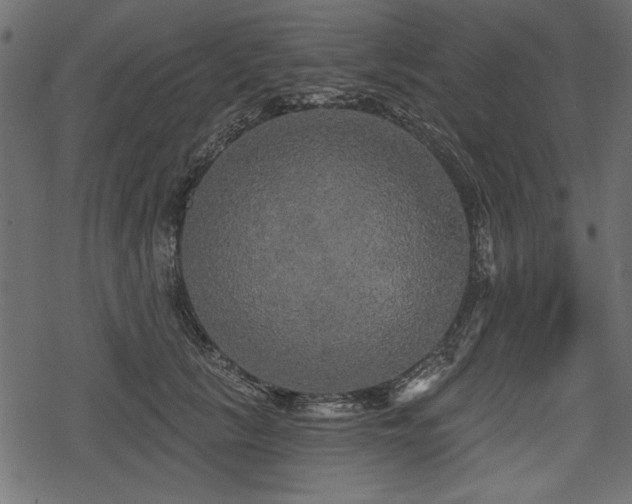 X0000078290657200611031233