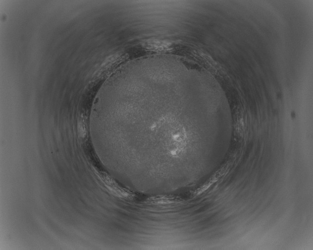 X0000078290658200611031233