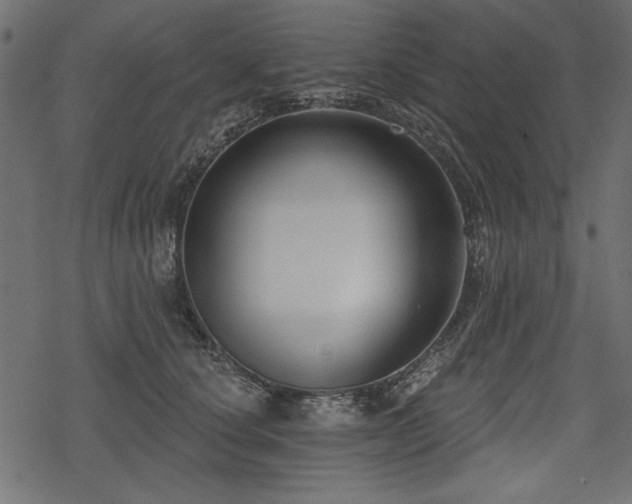 X0000078290660200611031233